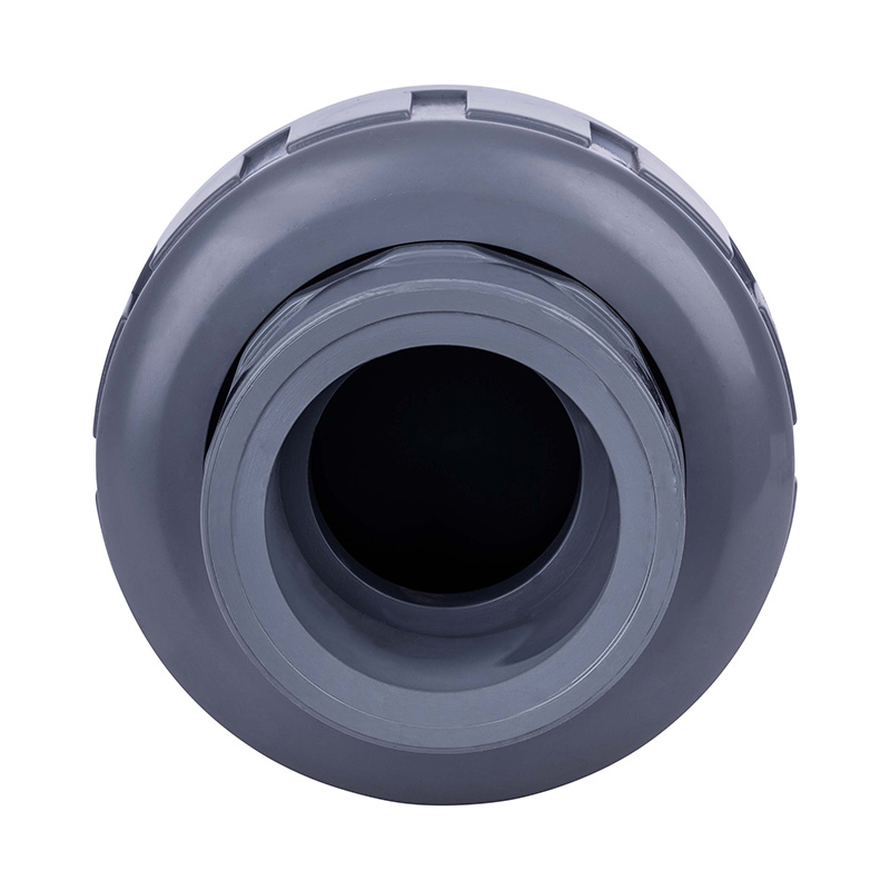 PVC-C H61F-10V シングルユニオンソケットチェックバルブ DN15-100 GB 標準