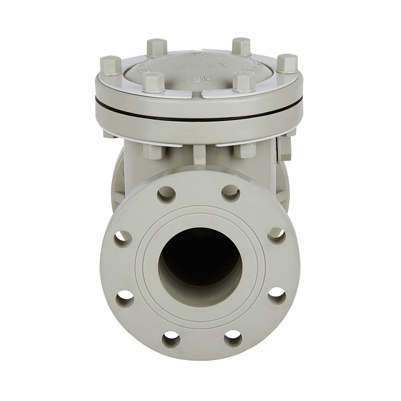 PPH H44F-10S スイング式チェックバルブ DN15-300 GB標準