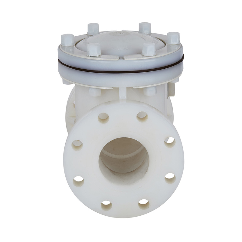 PVDF H44F-10F スイング式逆止弁 DN15-300 GB標準