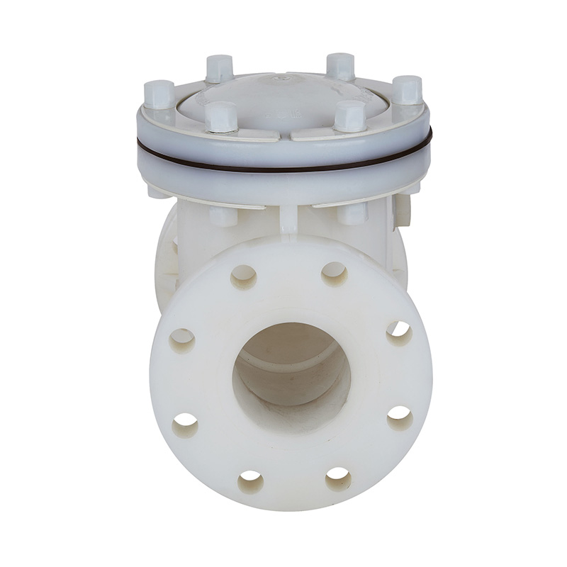 PVDF H44F-10F スイングタイプ逆止弁 DN15-300 1/2'-12' ANSI規格