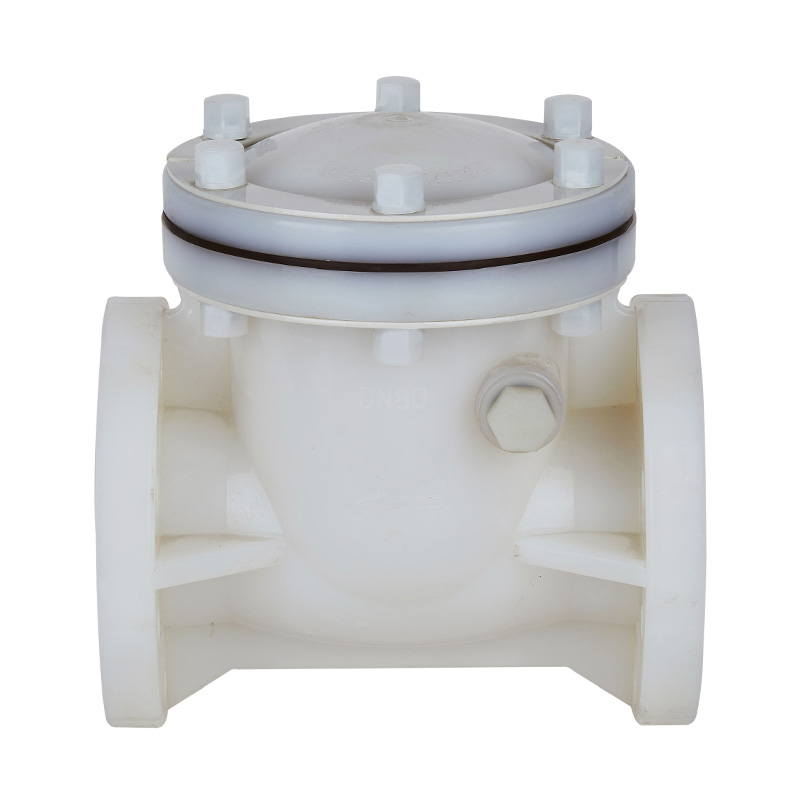 PVDF H44F-10F スイングタイプ逆止弁 DN15-300 1/2'-12' ANSI規格