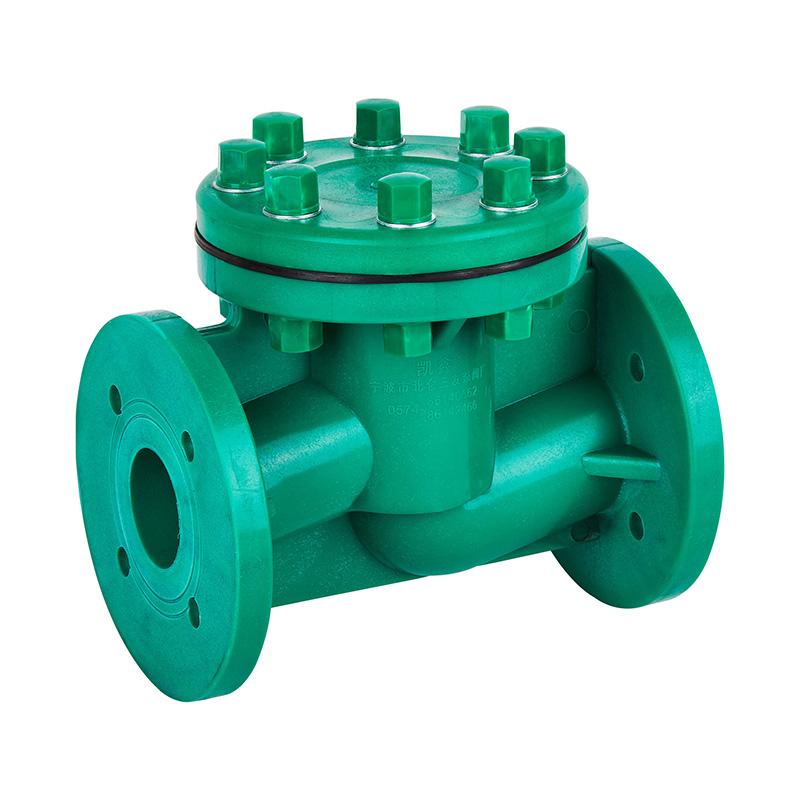 FRPP H41F-10S ライフ型チェックバルブ DN40-80 GB標準