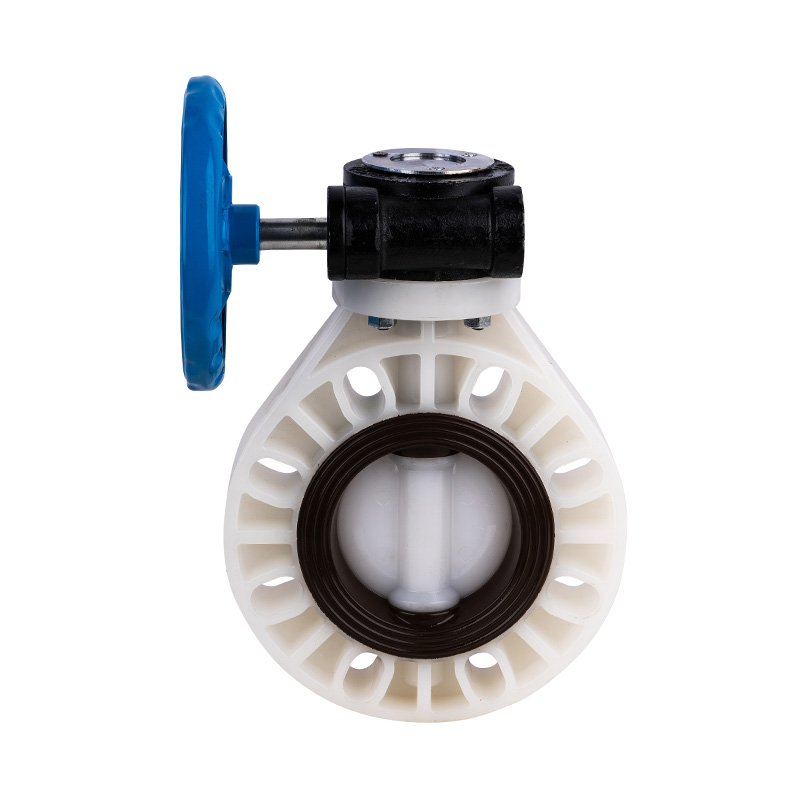 PVDF D371X-10F ウォームギア バタフライ バルブ DN32-1000 GB 標準