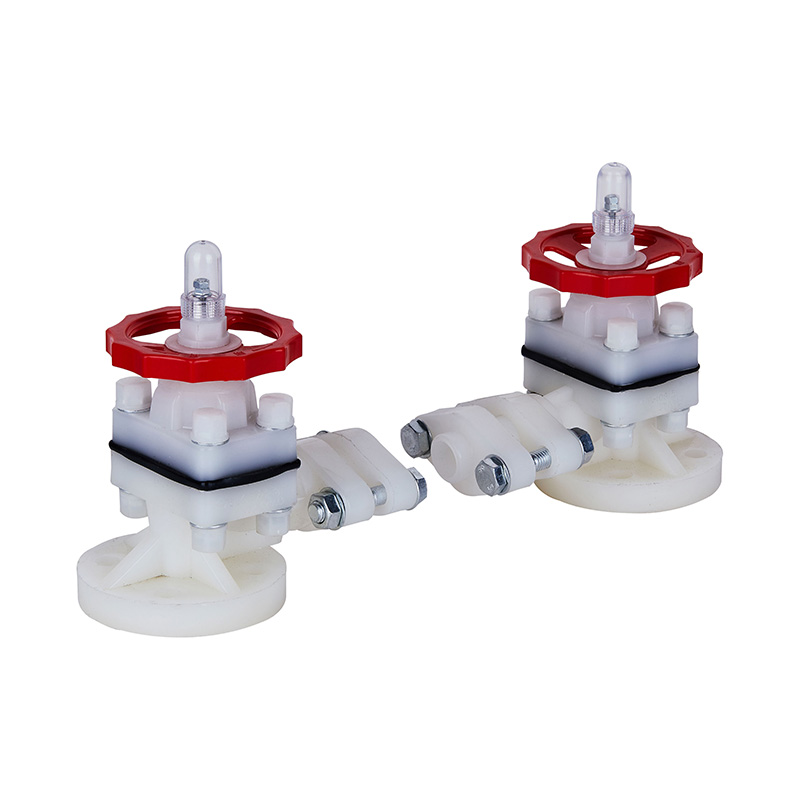 PVDF G41F-10F レベル指示 DN15-50 1/2'-2' ANSI 規格